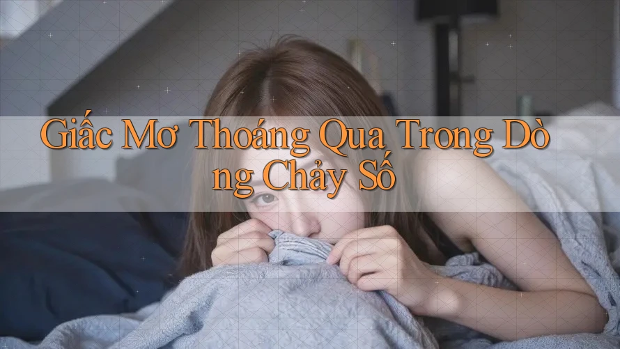Giấc Mơ Thoáng Qua Trong Dòng Chảy Số