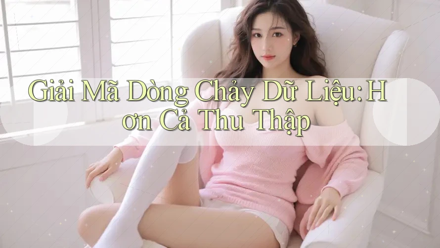 Giải Mã Dòng Chảy Dữ Liệu: Hơn Cả Thu Thập