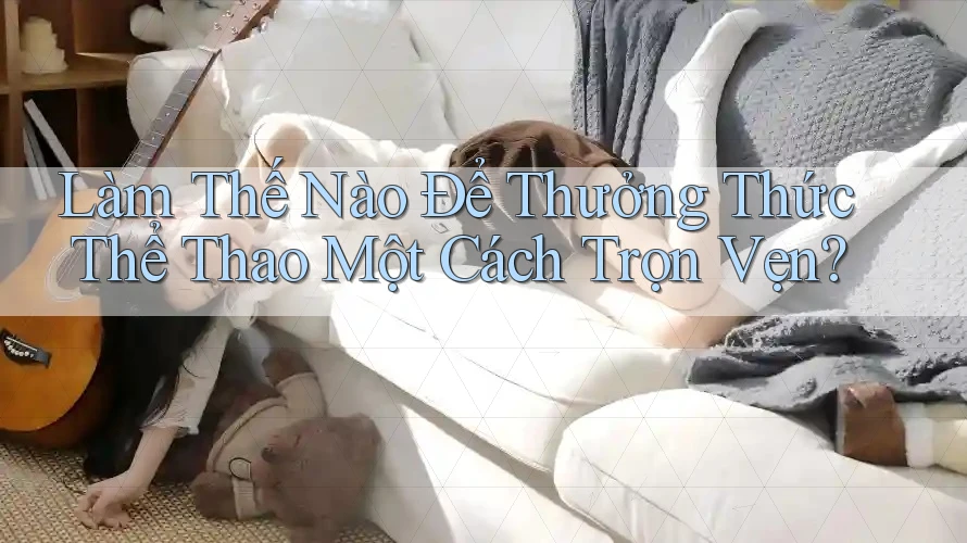Làm Thế Nào Để Thưởng Thức Thể Thao Một Cách Trọn Vẹn?