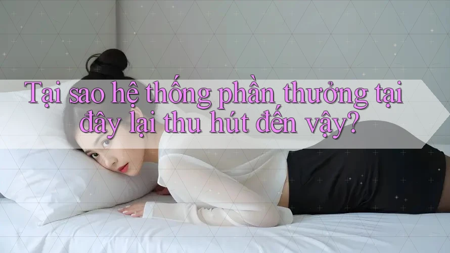 Tại sao hệ thống phần thưởng tại đây lại thu hút đến vậy?